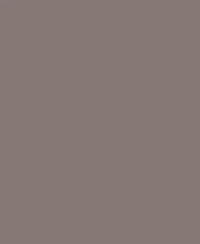 Weber Color Comfort Dark Chocolate, 5 Kg, Coulis flexible pour murs et sols