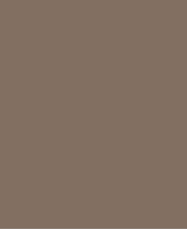 Joint de carrelage - Multifill-Diamond, Largeur de joint 1-12 mm, 41 Earth Brown, 4 kg
