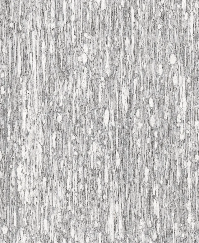 LAP-0038