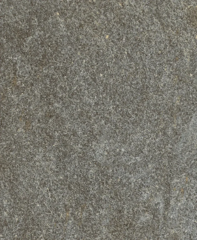 LAP-0051