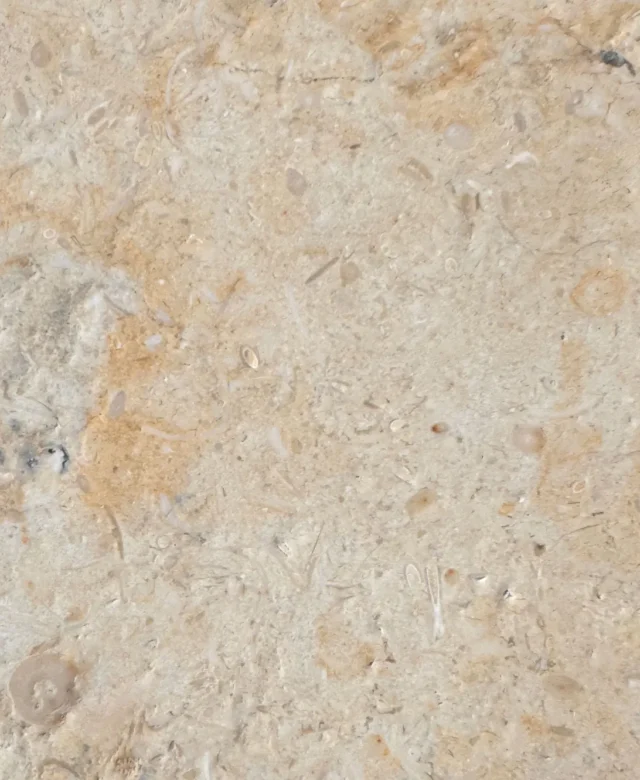 Pierre calcaire brossée Sunny Dream, 30 X 10 X 1 cm