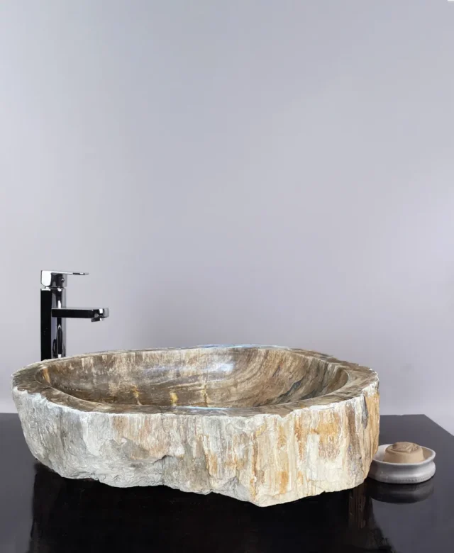 Lavabo de salle de bains, Bois pétrifié