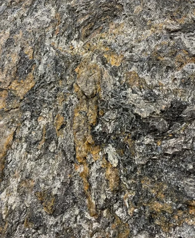 Dalle Kosmus Gold Rock Design 3CM