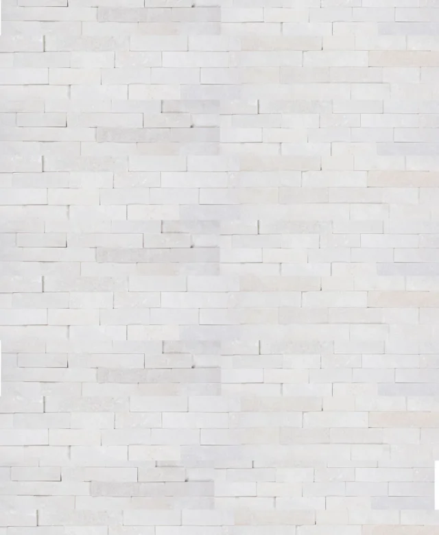 Panneau de revêtement mural en marbre blanc pur, 15 x 60 cm